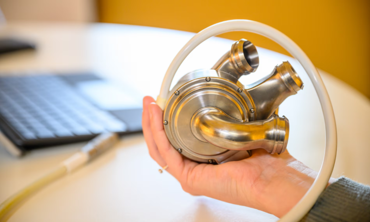 Hand holding an artificial heart.