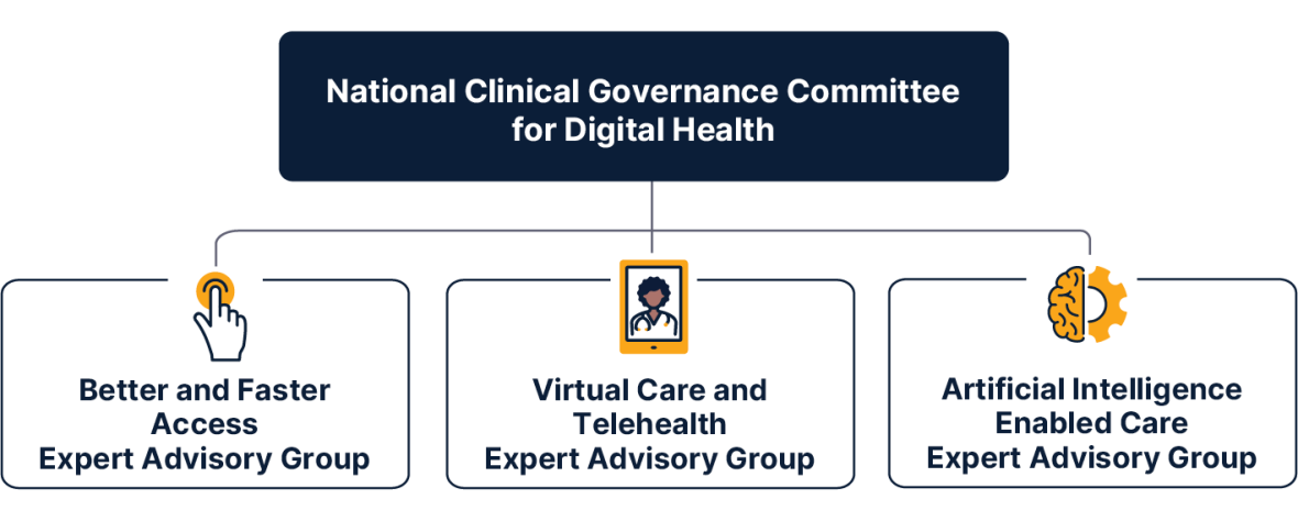 Image of the reporting structure for NCGC-DH for and expert advisory group
